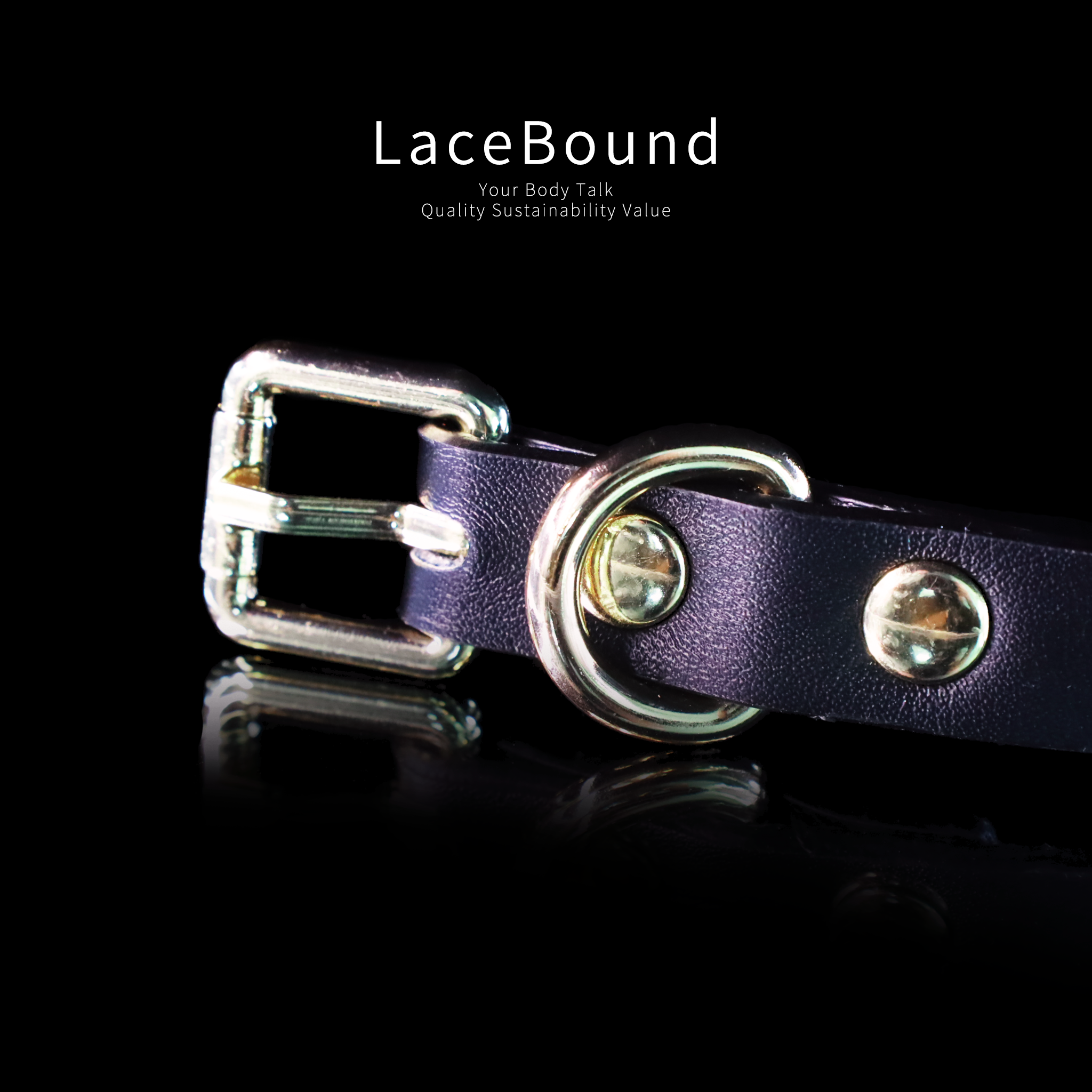 Adjustable Leather bdsm collar