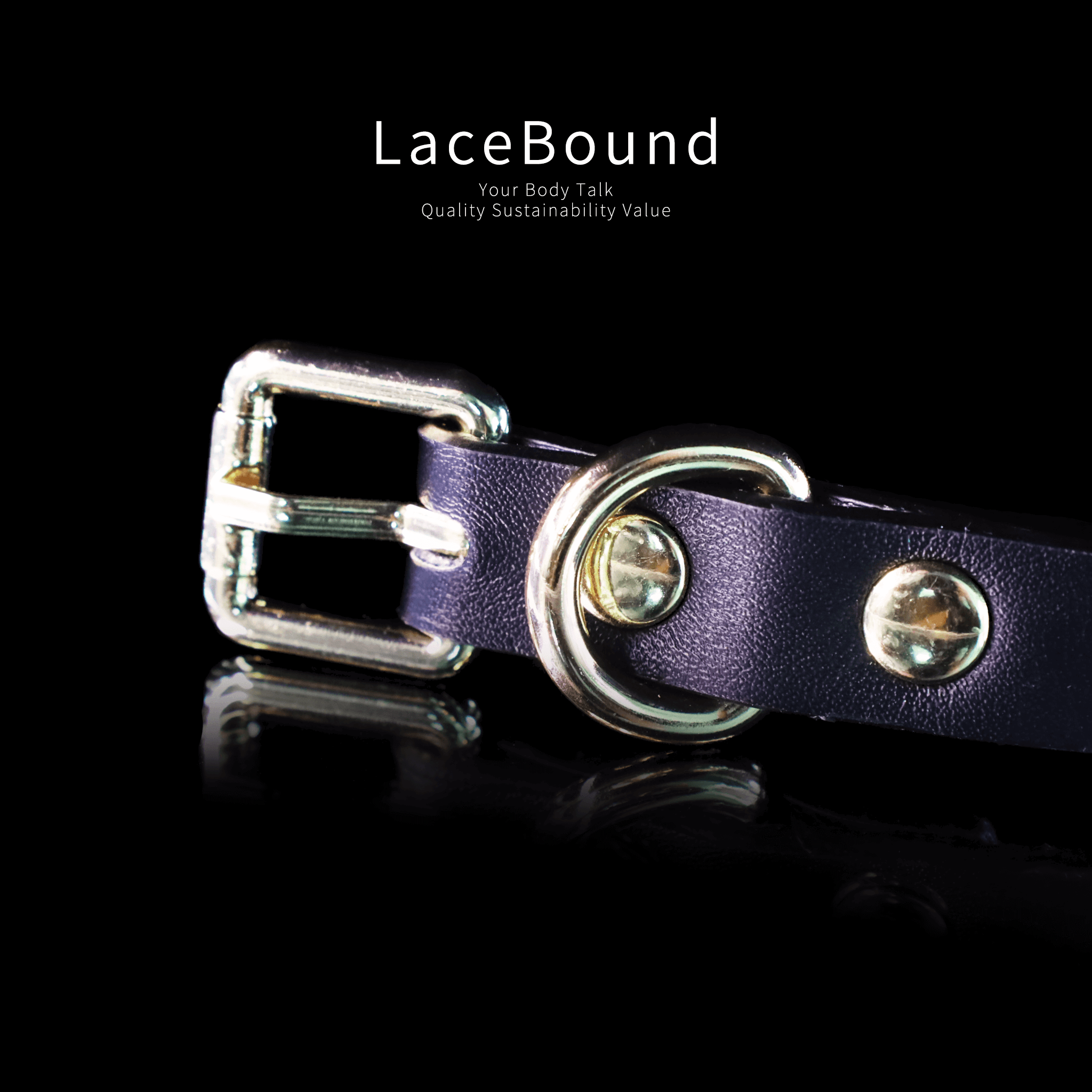 Adjustable Leather bdsm collar