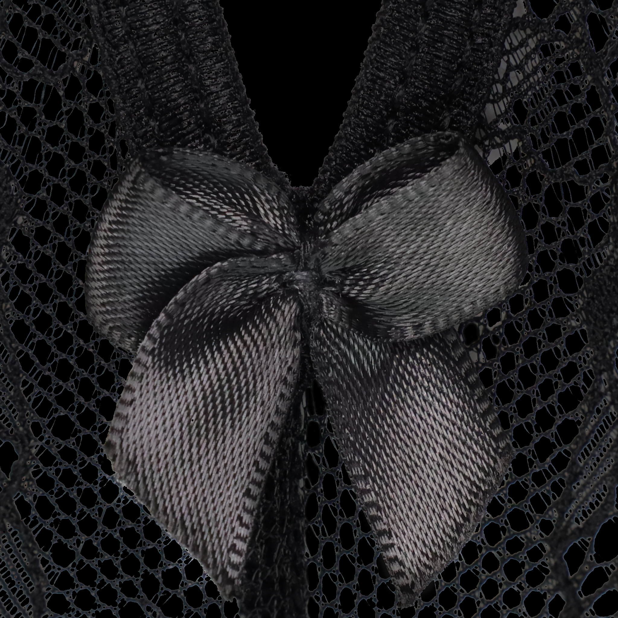 Sexy Lingerie Black Lace Bodysuit with Deep V-Neckline