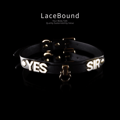 Adjustable Leather  bdsm collar