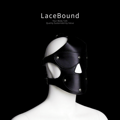 Adjustable BDSM Mask with Ball Gag for Control and Comfort
