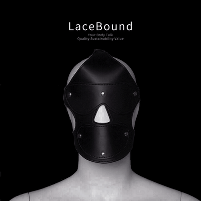 Adjustable BDSM Mask with Ball Gag for Control and Comfort