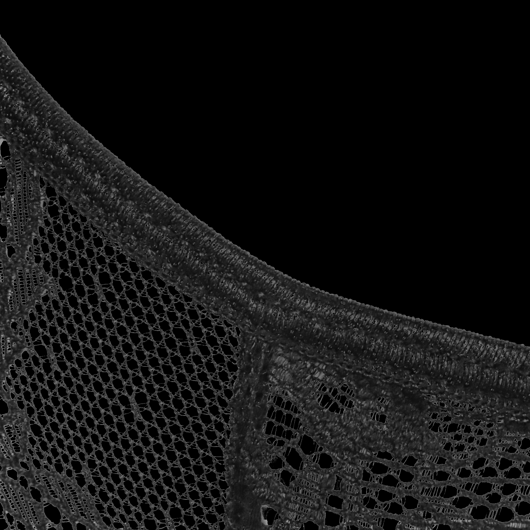 Sexy Black Lace Bodysuit with Crotchless Design