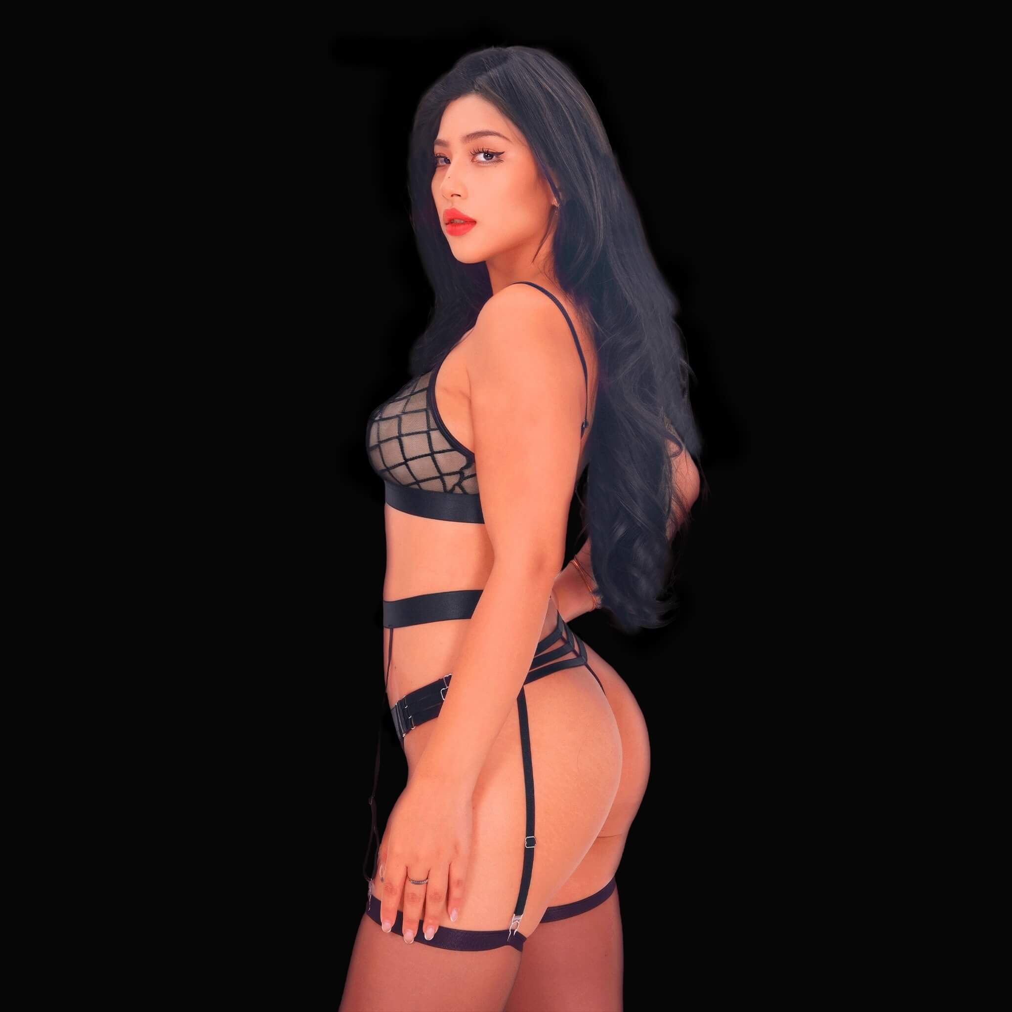 Black sexy lingerie set with sheer see-through mesh, elegant bra with adjustable straps, and matching panties, designed for a seductive and sophisticated silhouette.